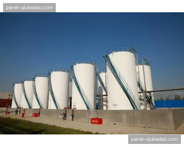 德甲可持续发展计划实施，环保措施成核心议程